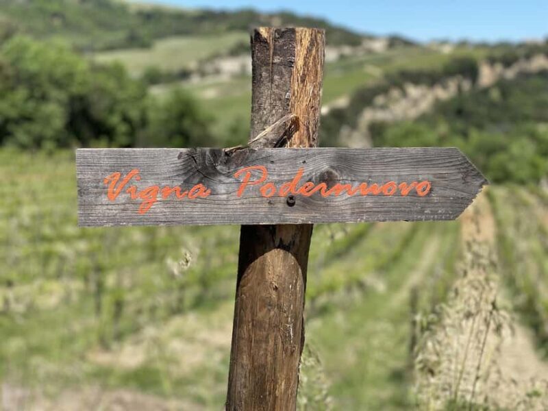 Montalcino: Molino Winery Tour & Wine Tasting - Detailed Breakdown of the Itinerary