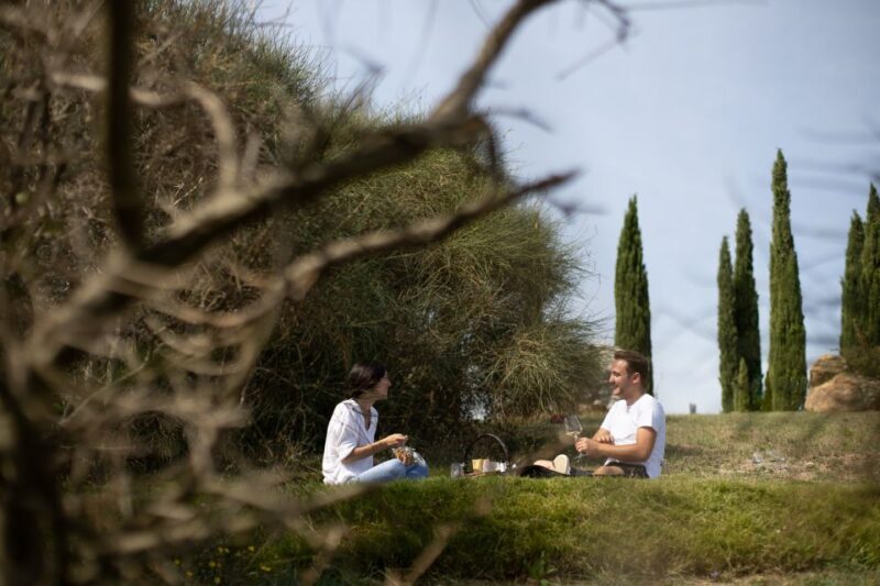 Montalcino: Vineyard Picnic with a Bottle of Wine - A Deep Dive into the Vineyard Picnic Experience