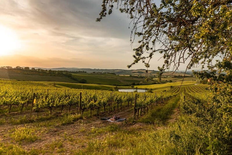 Montalcino: Wine Tasting and Tuscan Lunch - Key Points