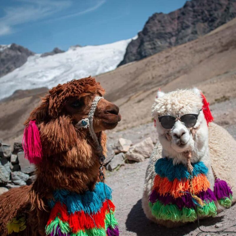 Montaña de los 7 colores - Why This Tour Offers Good Value