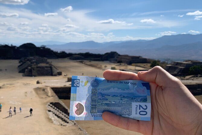 Monte Albán Morning Half-Day Tour Small Group, Transport & Guide - Discovering Monte Albán: A Small Group Half-Day Tour from Oaxaca
