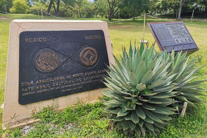 Monte Alban Only - Half Day Guided Tour - Oaxaca - FAQ