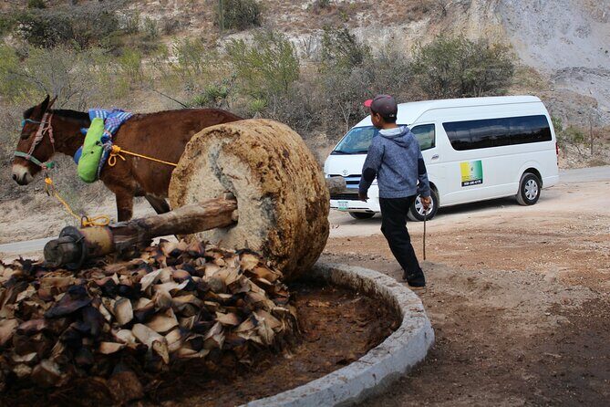 Monte Alban, Teotitlan and Mezcal Tour - Practical Details: What to Expect and Consider