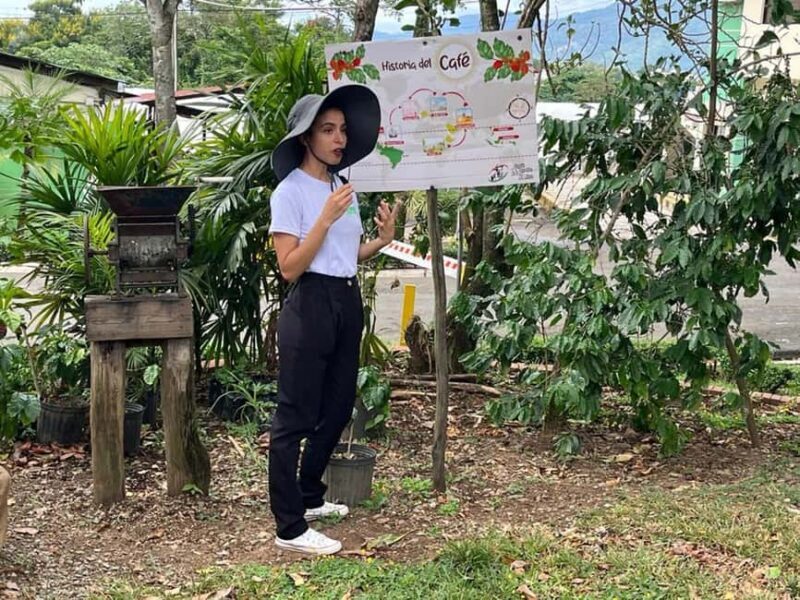 Monte Alto Coffee Tour: Jarabacoa Plantation Experience - Key Points