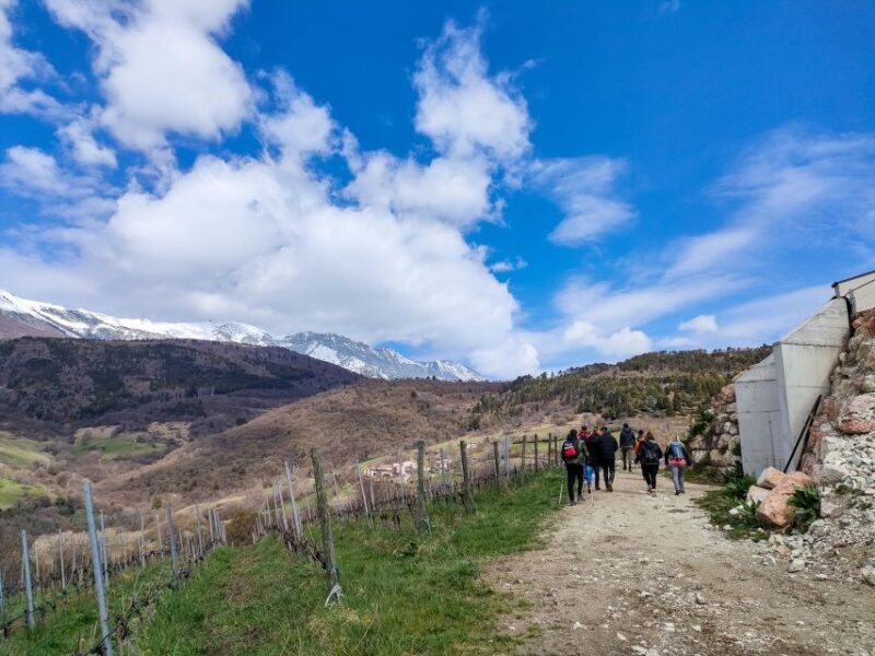Monte Baldo: Organic Mountain Wines Tour and Tasting - An In-Depth Look at the Monte Baldo Organic Wine Tour