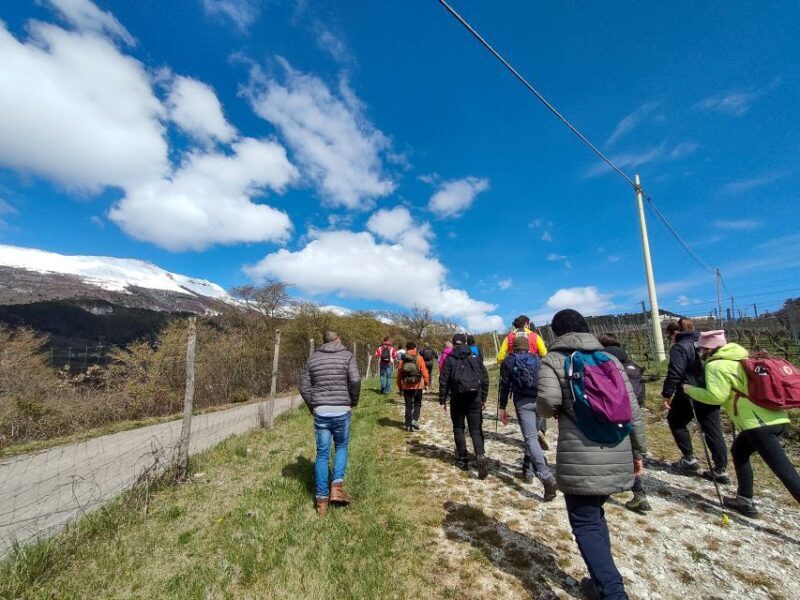 Monte Baldo: Organic Mountain Wines Tour and Tasting - FAQs