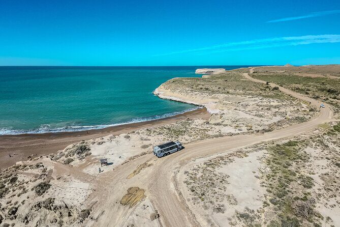 Monte Leon 4x4 Sea Lions and Penguins - Who Should Consider This Tour?