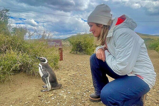 Monte Leon 4x4 Sea Lions and Penguins - The Sum Up