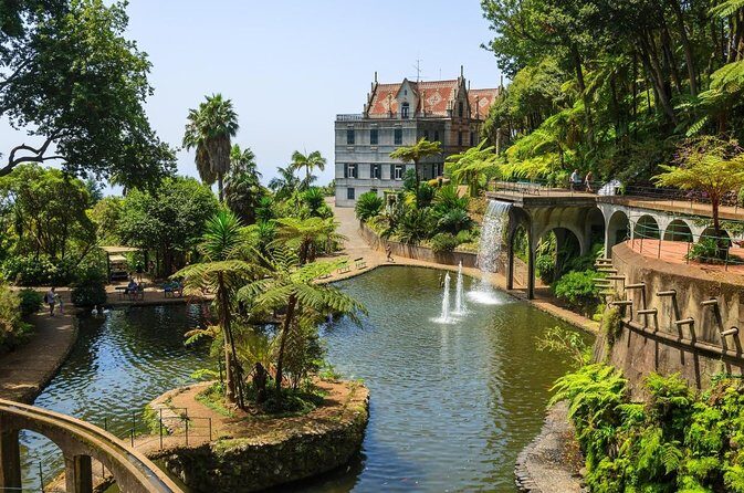 Monte Tropical Garden & Toboggans private Tuk-Tuk tour - Exploring Madeira with a Private Tuk-Tuk: Monte Tropical Garden & Toboggans Tour