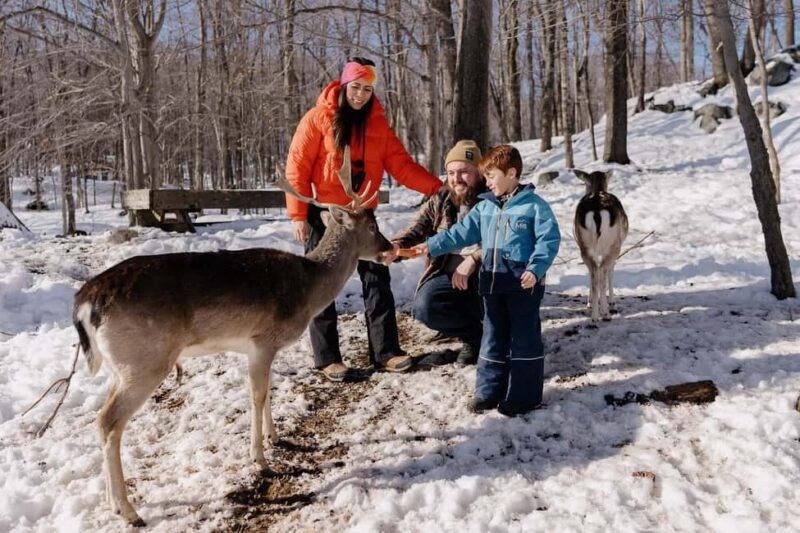 Montebello, QC: General Admission to Parc Omega - Cultural and Historical Encounters
