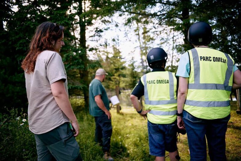 Montebello, QC: Omega Park Guided Animal Feeding in All-Terrain Vehicle - What Travelers Are Saying