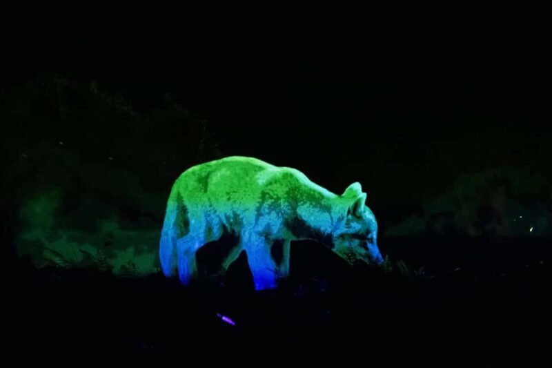 Montebello, QC: Omega Park ONIRO Immersive Experience at Night - Practical Tips for Visitors