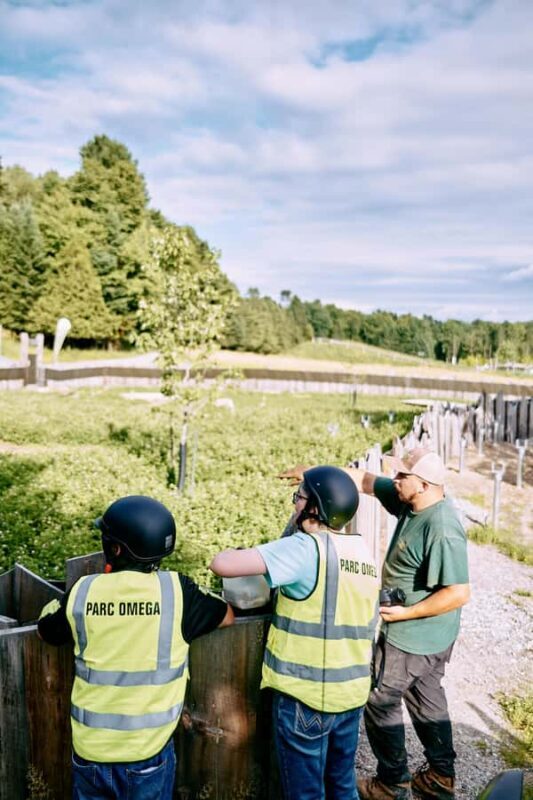 Montebello, QC: Parc Omega Guided Animal Feeding in an All-Terrain Vehicle - Key Points