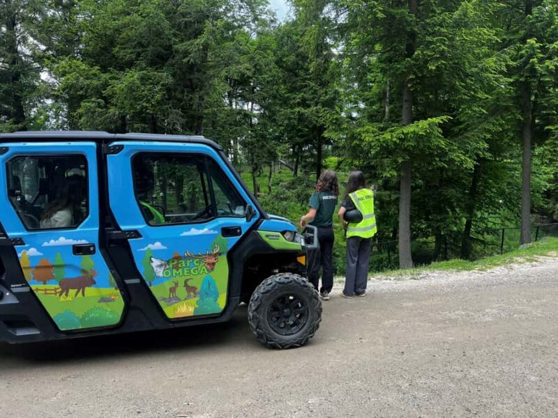 Montebello, QC: Parc Omega Guided Animal Feeding in an All-Terrain Vehicle - Practical Tips
