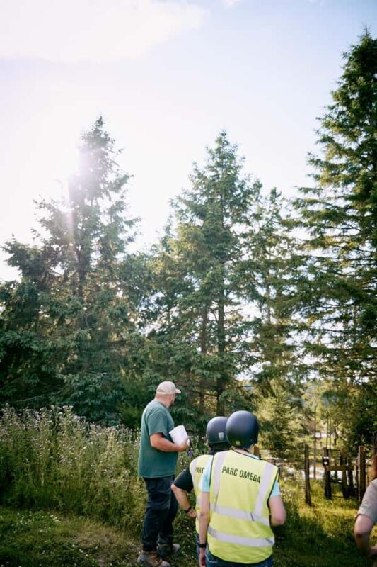 Montebello, QC: Parc Omega Guided Animal Feeding in an All-Terrain Vehicle - The Sum Up
