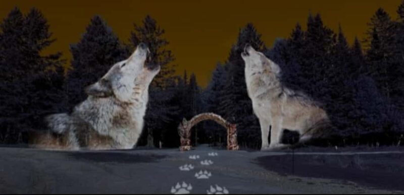 Montebello, QC: Parc Omega ONIRO Immersive Experience at Night - Key Points