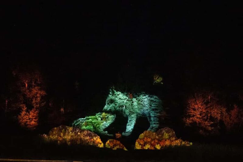 Montebello, QC: Parc Omega ONIRO Immersive Experience at Night - Authentic Experiences and Visitor Feedback