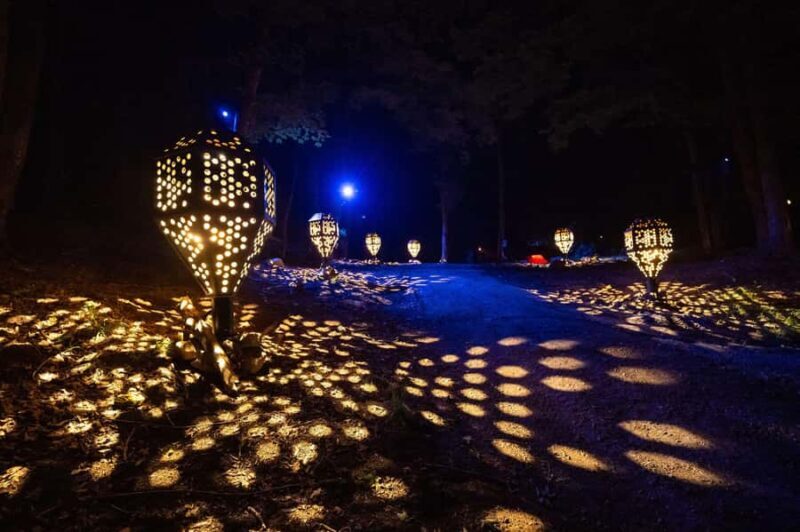 Montebello, QC: Parc Omega ONIRO Immersive Experience at Night - The Value of the Oniro Experience