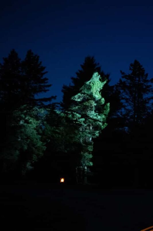 Montebello, QC: Parc Omega ONIRO Immersive Experience at Night - FAQs