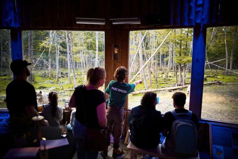 Montebello, QC: Parc Omega Wolves Experience with Cocktail & Guide - Montebello, QC: Parc Omega Wolves Experience with Cocktail & Guide