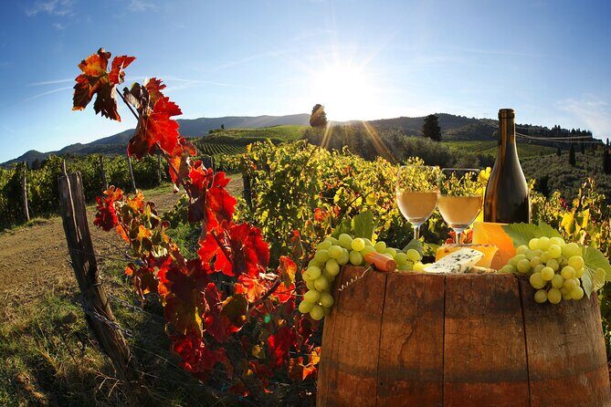 Montecarlo and Wine Tasting from Lucca Private Tour - Experience the Best of Tuscany on a Private Montecarlo and Wine Tasting Tour from Lucca