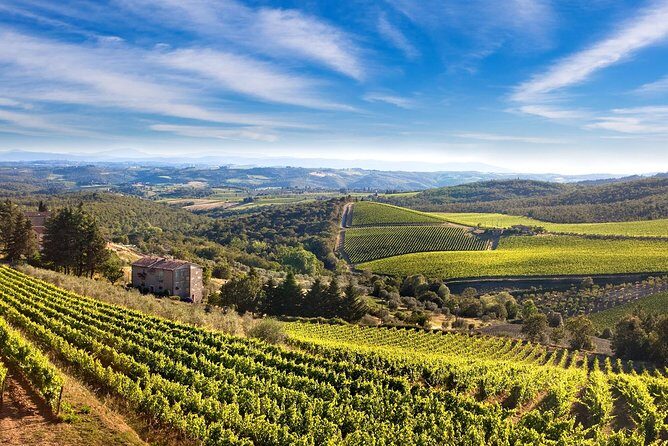 Montecarlo and Wine Tasting from Lucca Private Tour - Key Points