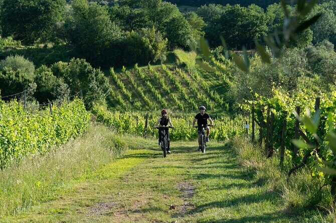 Montecarlo E-Bike One Day Tour with Lunch and Tasting - Key Points