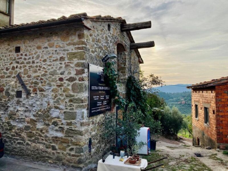 Montecatini Terme: Olive Grove Tour with Oil Tasting - Practical Details and Value