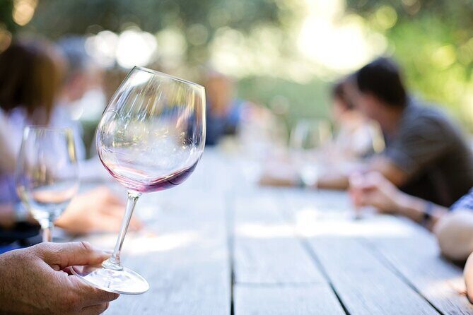 Montefalco: Historic cellar and vineyard tour with wine tasting - A Closer Look at the Montefalco Winery Experience