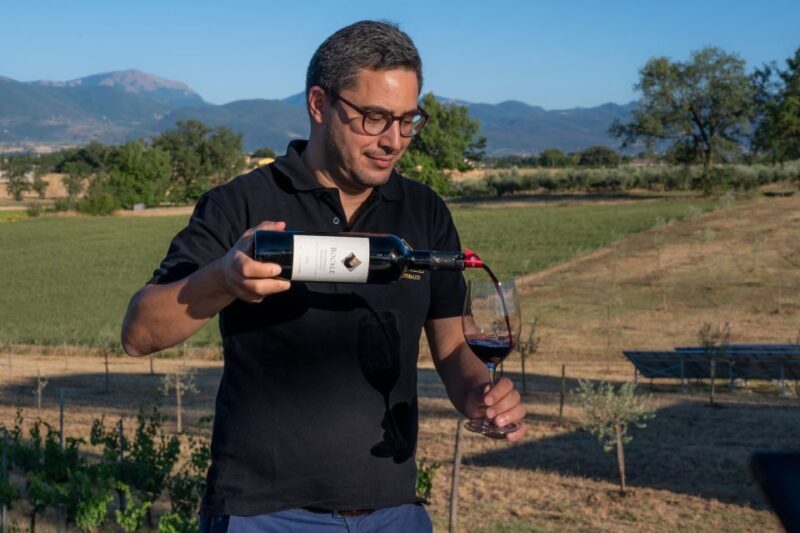 Montefalco: Winery and Vineyard Tour and Private Tasting - Frequently Asked Questions