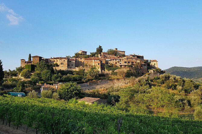 Montefioralle Winery - Tour and Wine Tasting in Chianti - The Sum Up