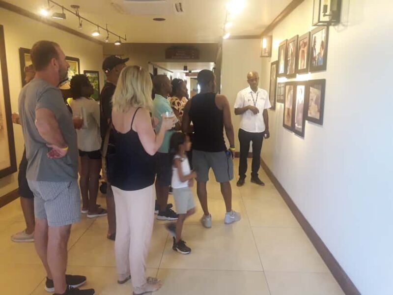 Montego Bay: 8-Hour Appleton & Pelican Bar Return Transfer - Exploring Jamaica’s Charm: The 8-Hour Appleton & Pelican Bar Return Transfer