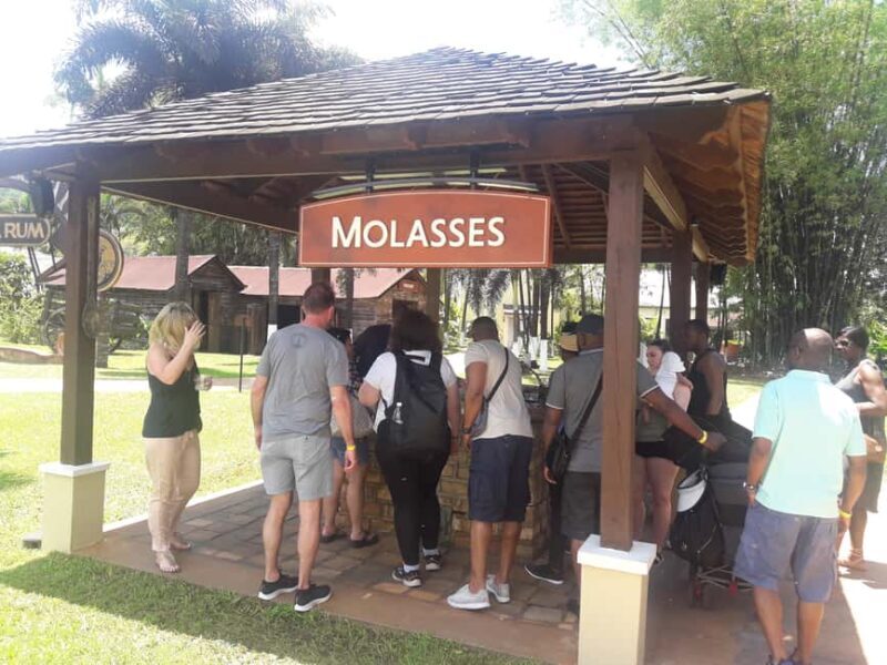 Montego Bay: 8-Hour Appleton & Pelican Bar Return Transfer - Who Is This Tour Perfect For?