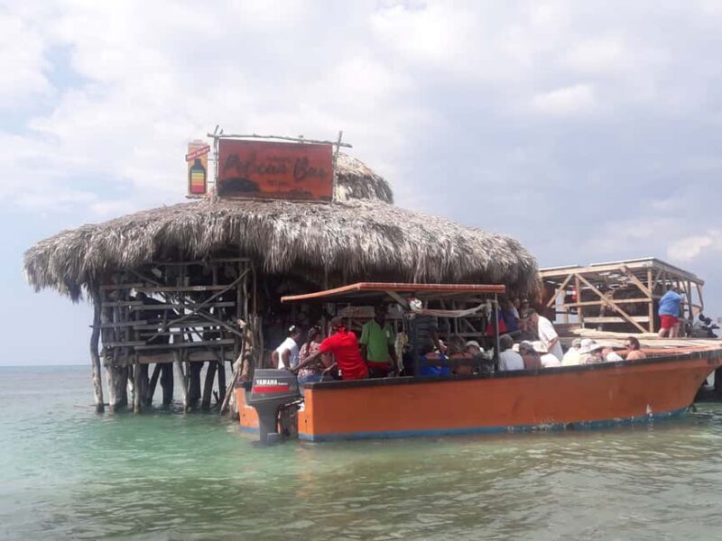 Montego Bay: 8-Hour Appleton & Pelican Bar Return Transfer - Who Will Enjoy This Tour?