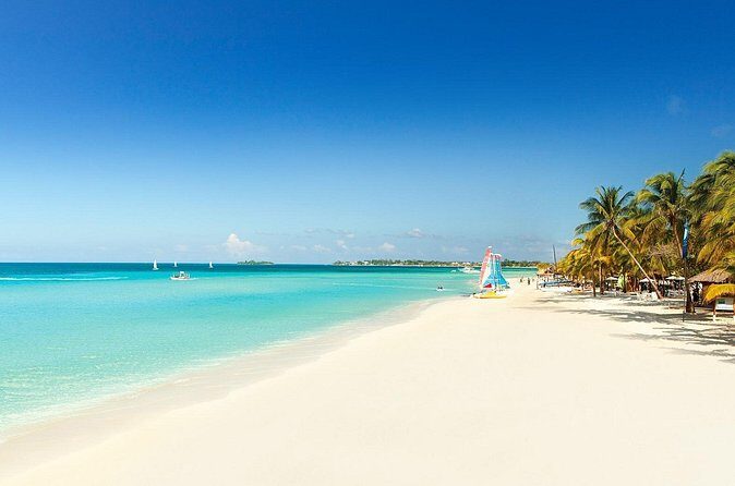 Montego Bay Airport and Couples Swept Away Private Shuttle - Final Thoughts