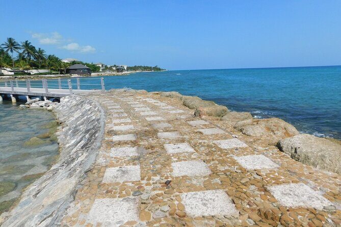 (Montego Bay area)Private Custom Design Transportation One Way - Final Thoughts: Is This the Right Choice for You?