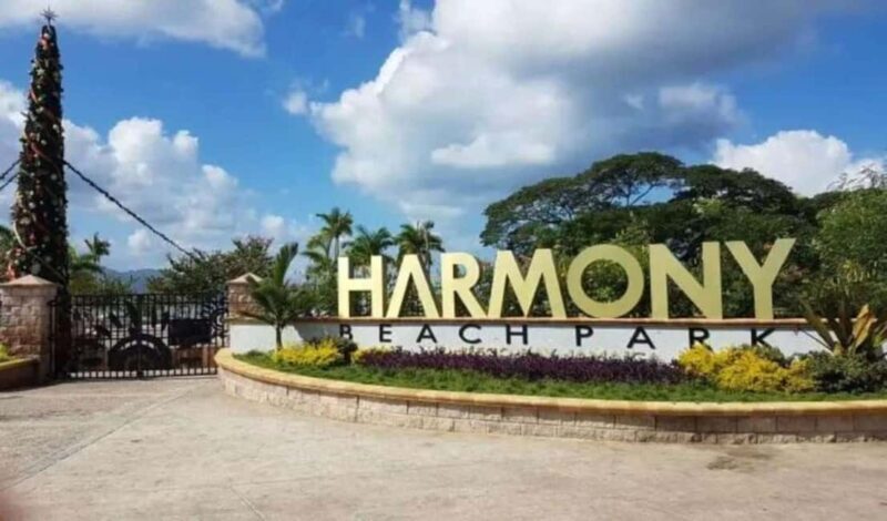 Montego Bay: Bamboo Rafting, Food Tour, and City Tour - Key Points