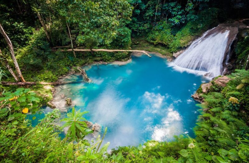 Montego Bay: Blue Hole, Dunns River, and Reggae Hill Tour - A Closer Look at the Tour Experience