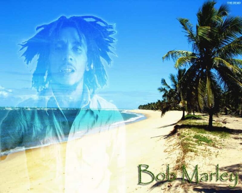 Montego Bay: Bob Marley Tour to 9 Mile, St. Ann - FAQ