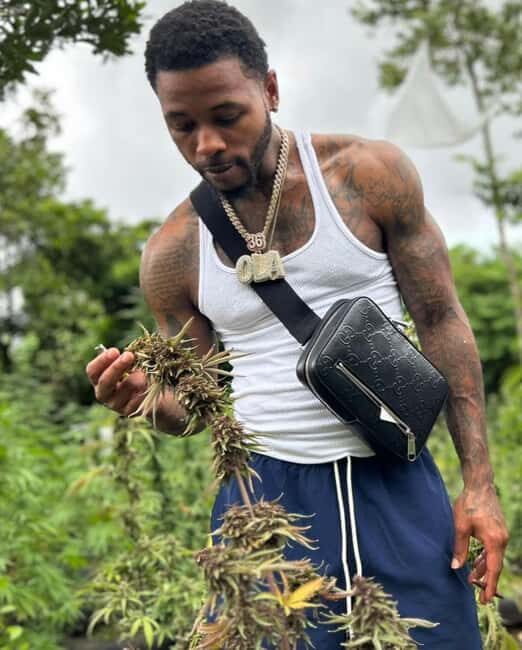 Montego Bay: Cannabis Farm, Bamboo Rafting, & Foot Massage - Experience the Best of Montego Bay: Cannabis Farm, Bamboo Rafting, & Foot Massage