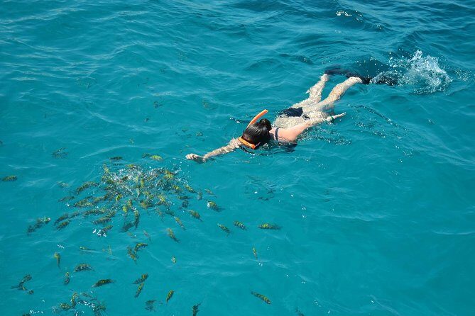 Montego Bay Catamaran Cruise and Snorkeling Tour from Falmouth - What to Expect in Terms of Value and Experience