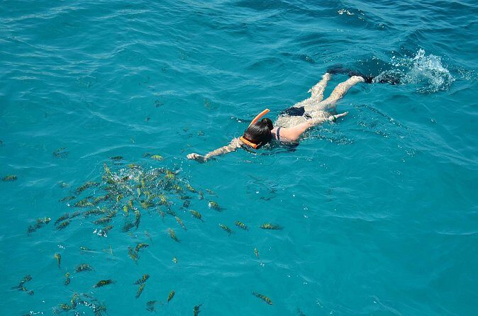 Montego Bay Catamaran Cruise and Snorkeling Tour from Falmouth - Final Thoughts