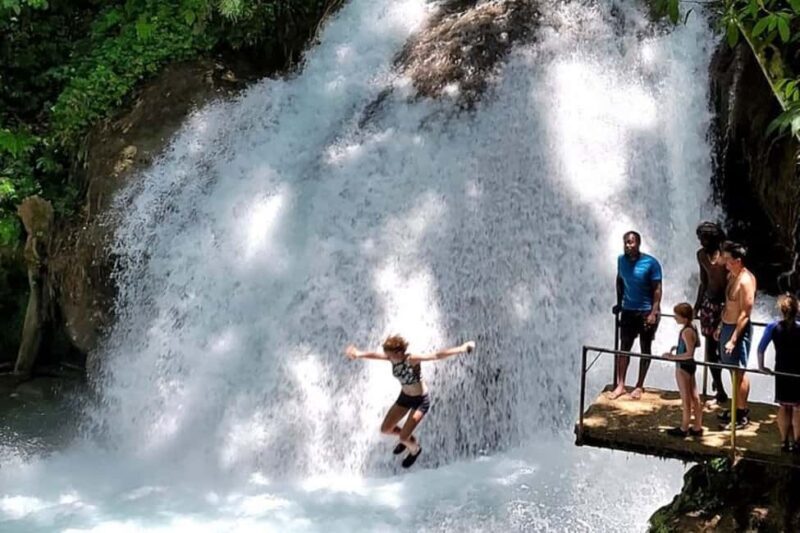 Montego Bay: Chuck Norris Falls & Dunn's River Falls Tour - In-depth Review of the Tour Experience