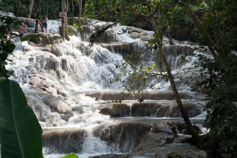 Montego Bay: Chuck Norris Falls & Dunn's River Falls Tour - Final Thoughts