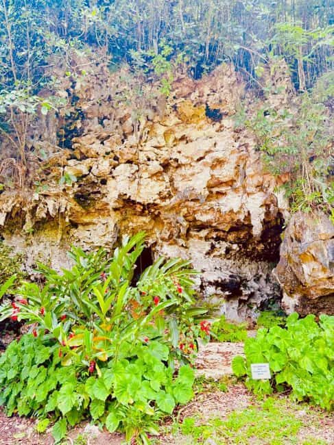 Montego Bay: Cockpit Caves Experience - Final Thoughts