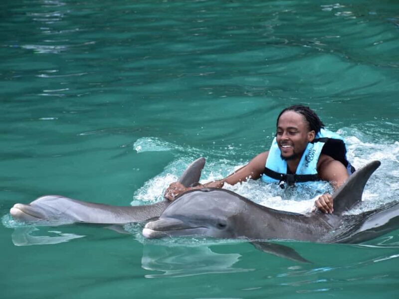 Montego Bay: Dolphin Cove Ocho Rios Day Trip with Transfers - What Is the Dolphin Cove Day Trip?