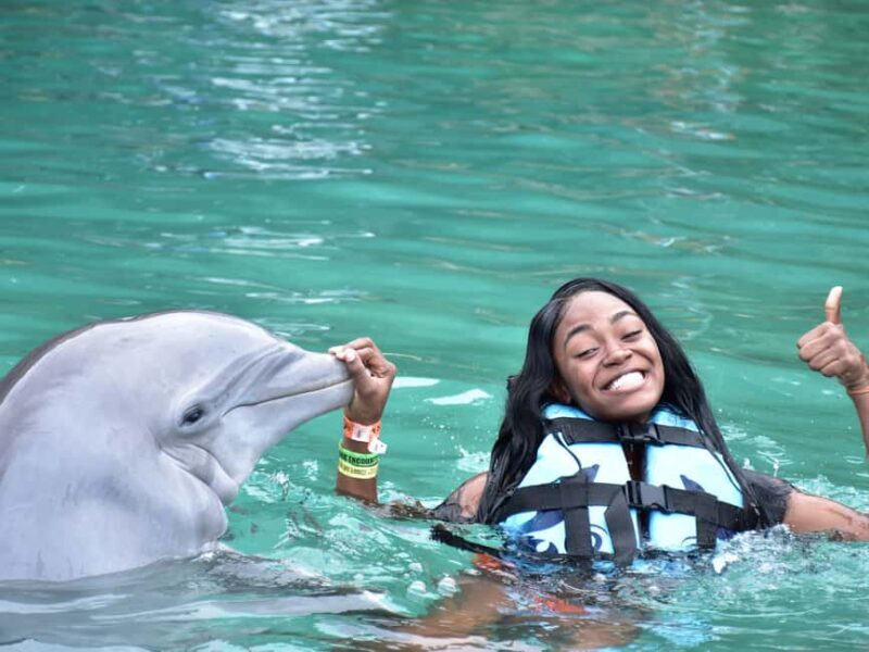 Montego Bay: Dolphin Cove Ocho Rios Day Trip with Transfers - What To Expect and Practical Tips