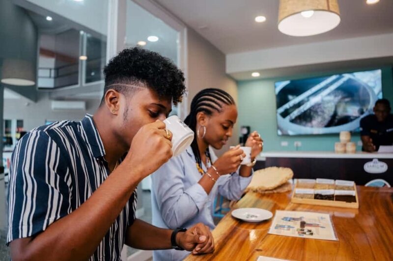 Montego Bay: Dunns Catamaran Sail & Snorkel with Zipline - Why This Tour Offers Value