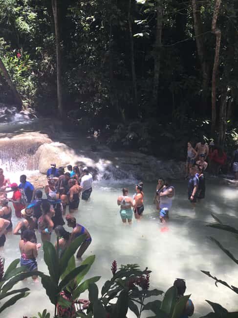 Montego Bay: Dunn's River Falls and Ocho Rios Day Trip - Who Should Consider This Tour?