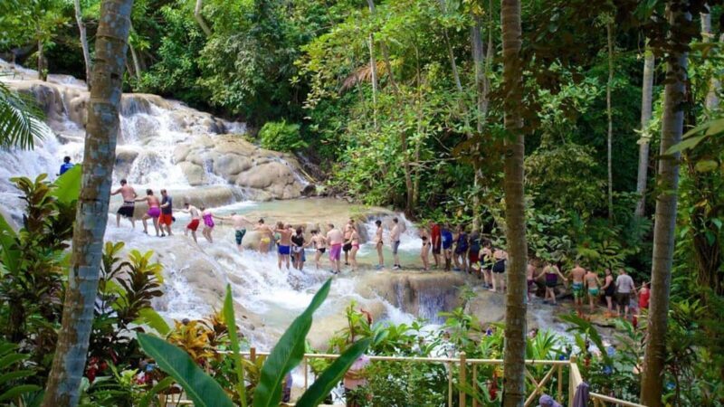 Montego Bay: Dunn's River Falls & Horseback Riding Adventure - An In-Depth Look at the Dunns River Falls & Horseback Riding Tour